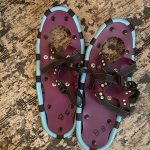 Purple and Blue Snowshoes